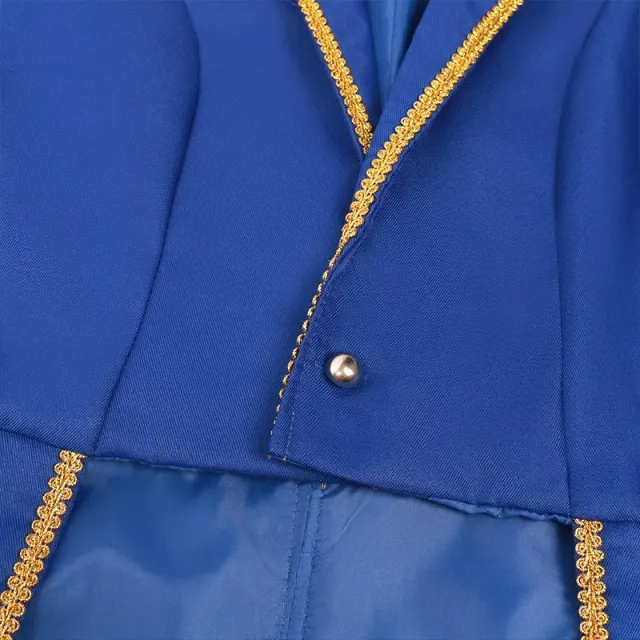 Men's Gold-Trim Medieval Prince Tailcoat for Cosplay detail 23