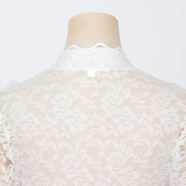 Victorian Lace Court Dress with Flared Sleeves for Cosplay detail 19